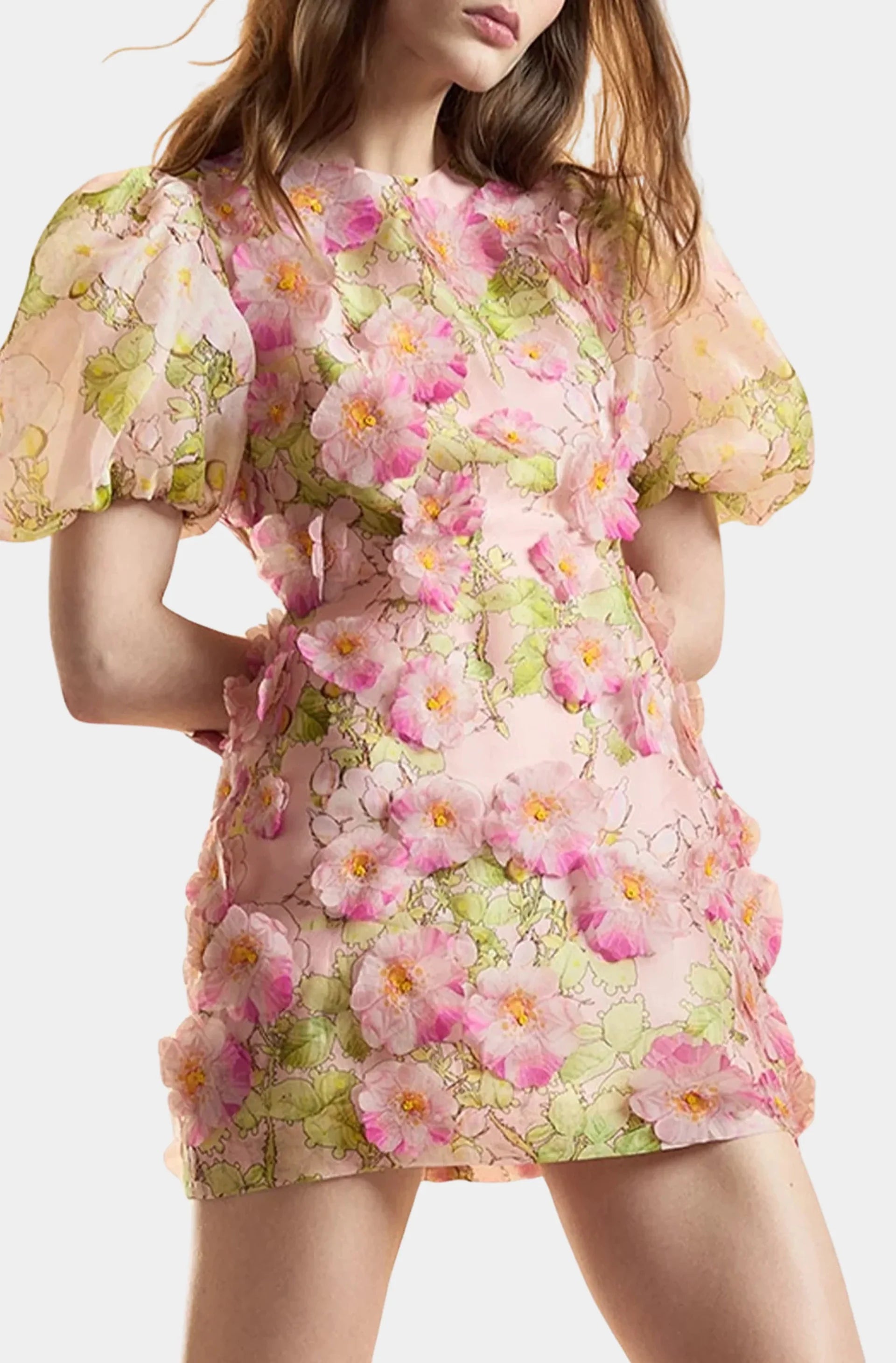 3D Floral Silk Organza Mini Dress
