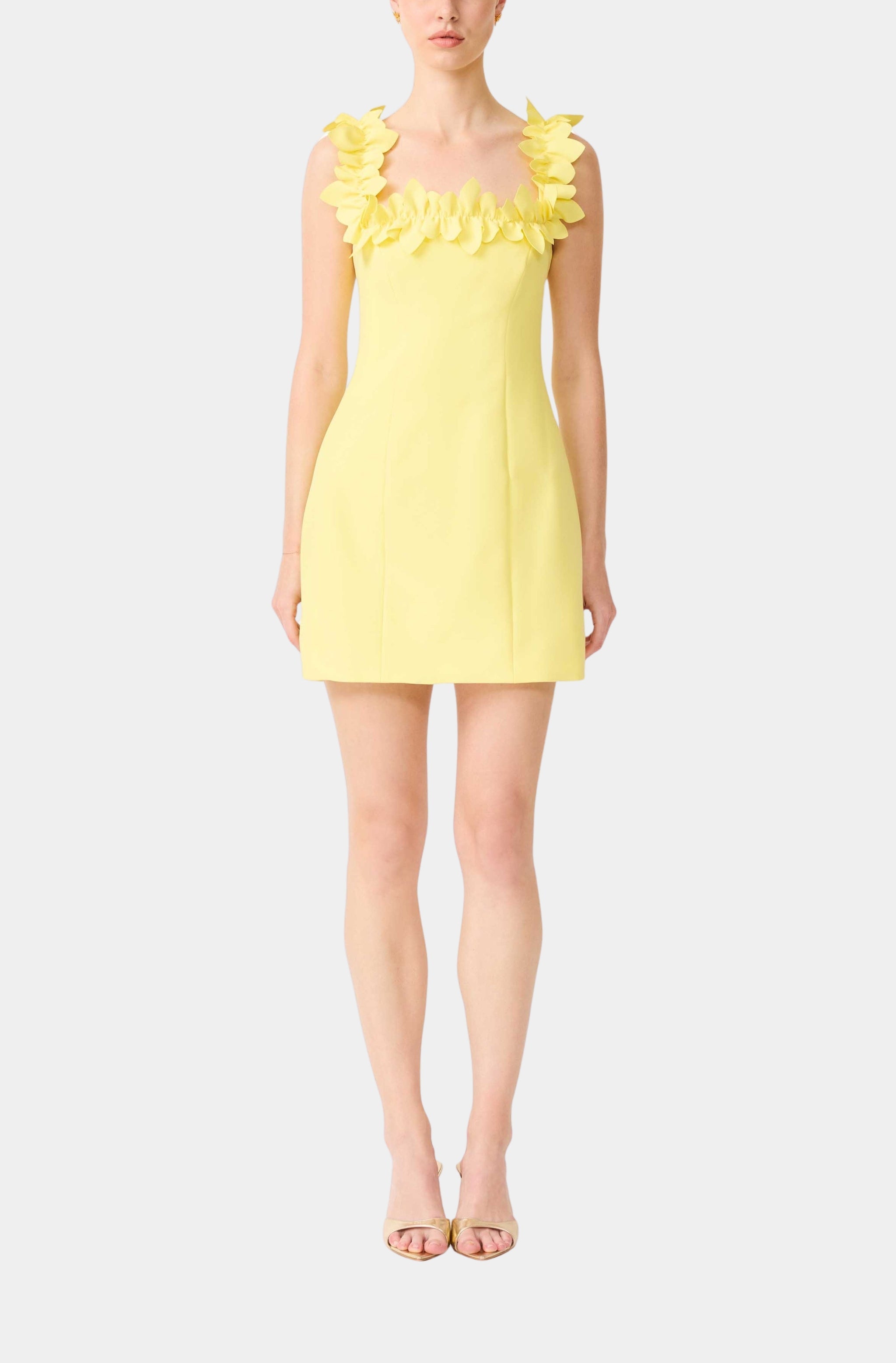 Hemline Oxford | Oxford Women's Clothing Boutique Hemline Oxford | Oxford Women's Clothing Boutique